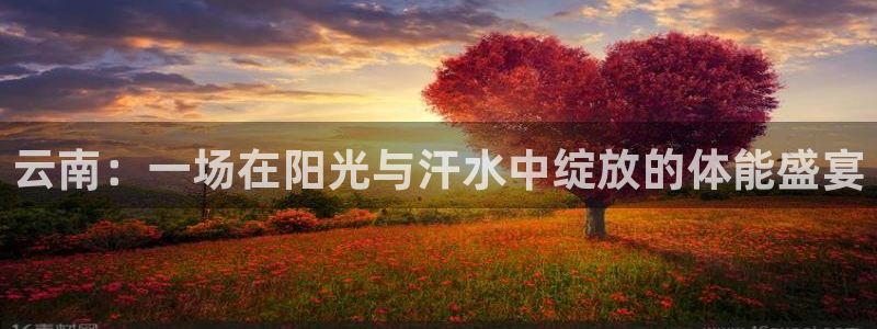 云南：一场在阳光与汗水中绽放的体能盛宴