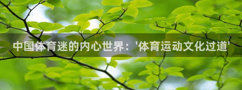 中国体育迷的内心世界：\'体育运动文化过道\'