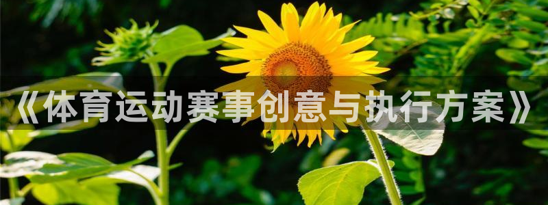 《体育运动赛事创意与执行方案》