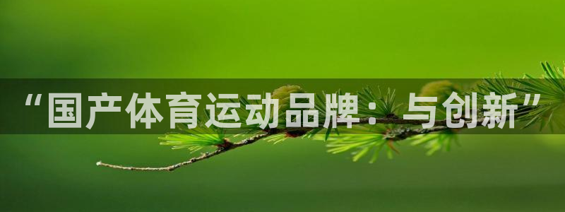 “国产体育运动品牌：与创新”