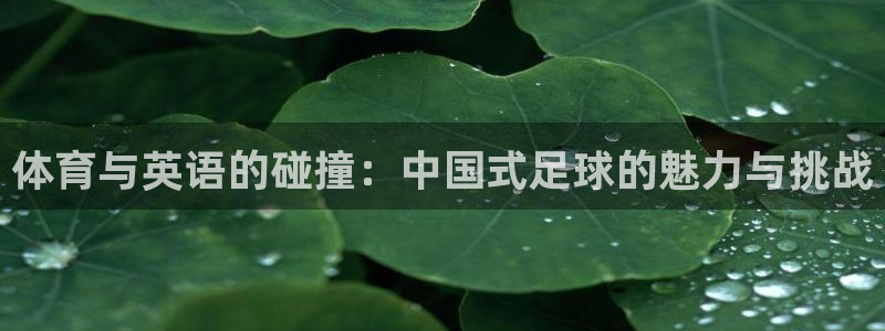 体育与英语的碰撞：中国式足球的魅力与挑战