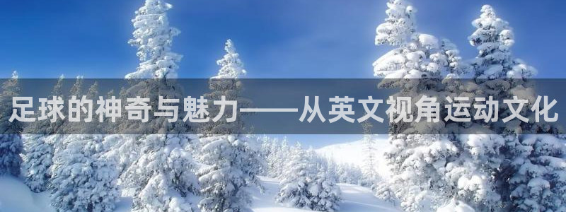 足球的神奇与魅力——从英文视角运动文化
