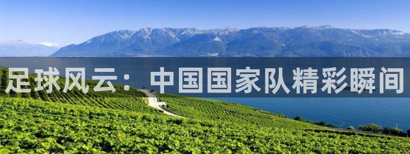 足球风云：中国国家队精彩瞬间