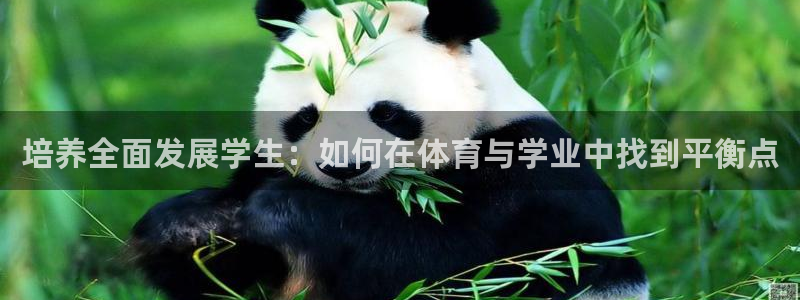 培养全面发展学生：如何在体育与学业中找到平衡点