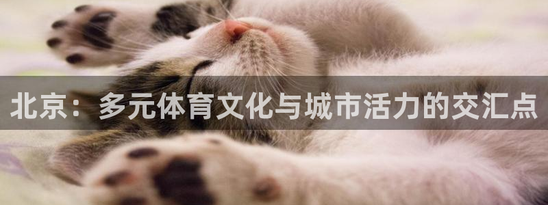 北京：多元体育文化与城市活力的交汇点