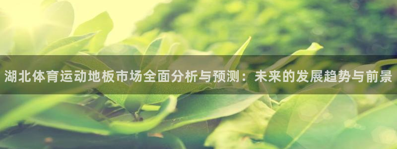 湖北体育运动地板市场全面分析与预测：未来的发展趋势与前景